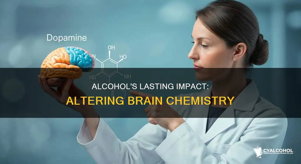 does alcohol alter brain chemistry even after it wears off