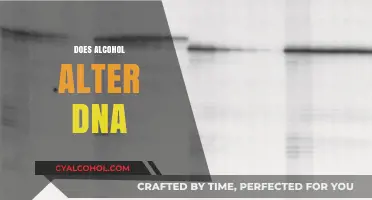 Alcohol's Impact on DNA: Unraveling the Genetic Changes It Causes