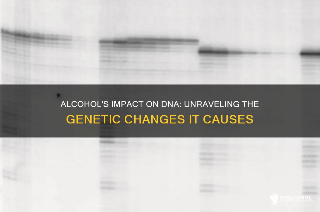 does alcohol alter dna