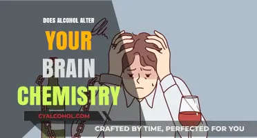 How Alcohol Changes Brain Chemistry: Effects, Risks, and Recovery Insights