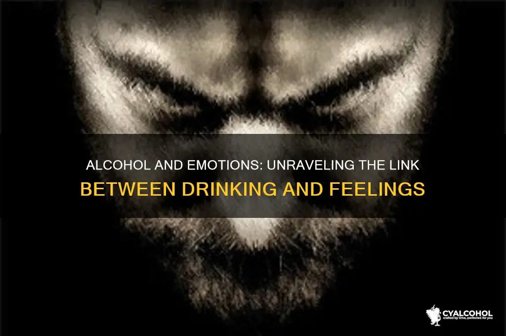 does alcohol amplify emotions