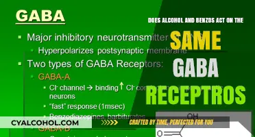 Alcohol and Benzos: Same GABA Receptors, Different Effects