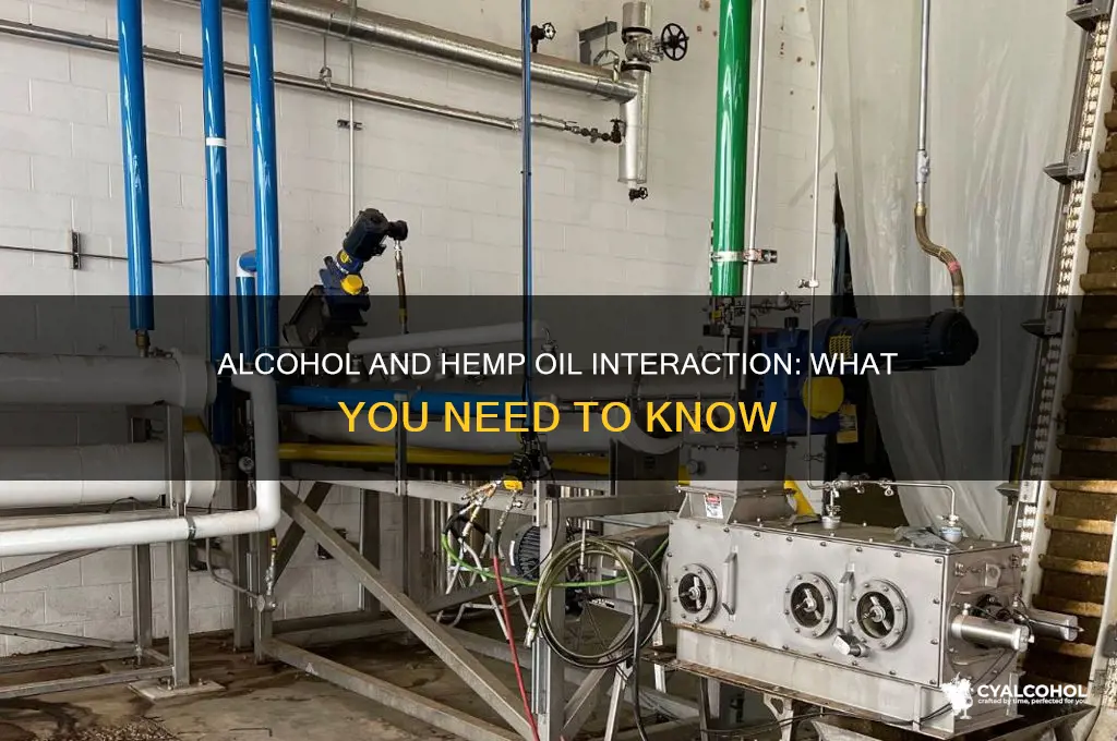 does alcohol and hemp oil interact