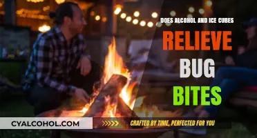 Alcohol and Ice Cubes for Bug Bites: Effective Relief or Myth?