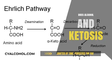 Alcohol and Ketosis: How Drinking Impacts Your Fat-Burning State
