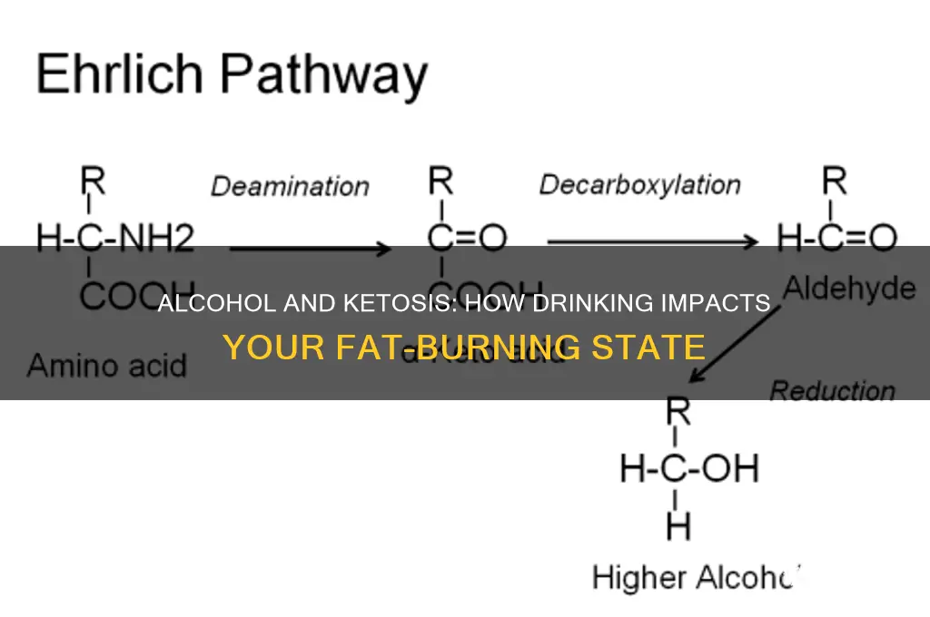 does alcohol and ketosis