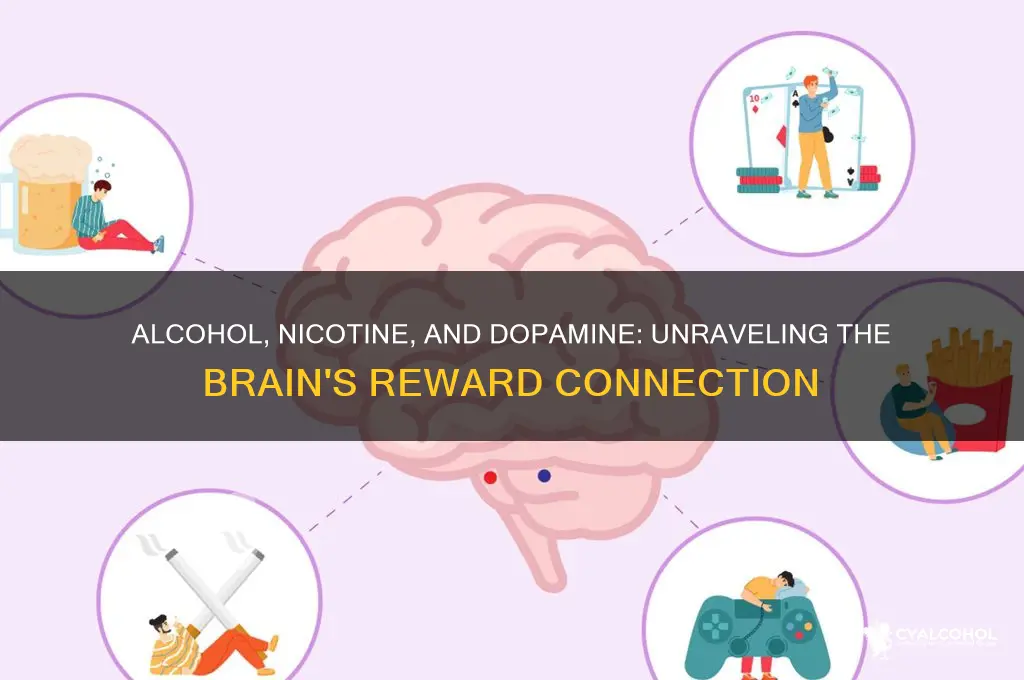 does alcohol and nicotine increase dopamine