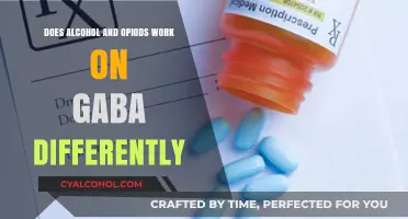 Alcohol vs. Opioids: Distinct GABA Mechanisms and Effects Explained