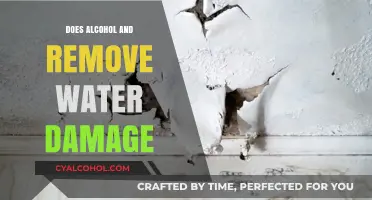 Can Alcohol Effectively Remove Water Damage? Facts and Myths Explained