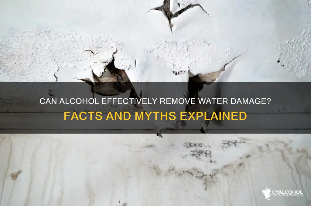 does alcohol and remove water damage