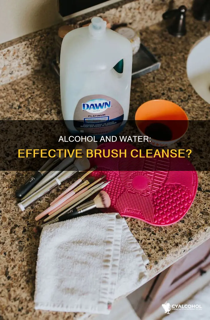 does alcohol and water works for spot cleaneing makeuo brushes