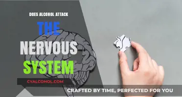 Alcohol's Impact: How It Affects and Attacks the Nervous System
