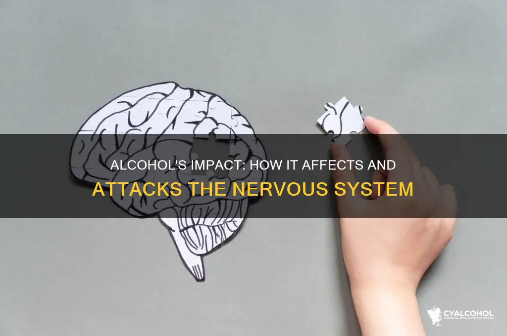 does alcohol attack the nervous system