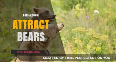 Does Alcohol Attract Bears? Unraveling Myths and Facts for Campers