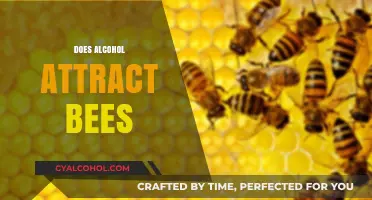 Does Alcohol Attract Bees? Unveiling the Surprising Connection