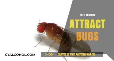 Does Alcohol Attract Bugs? Unveiling the Surprising Truth Behind the Myth