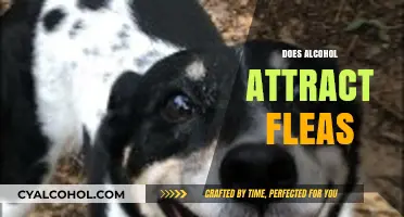 Alcohol and Fleas: Unraveling the Myth of Attraction or Repellent