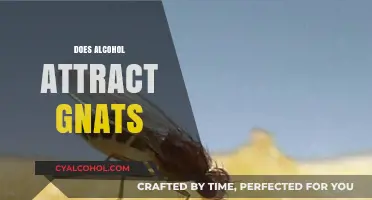 Does Alcohol Attract Gnats? Uncovering the Surprising Truth Behind the Buzz