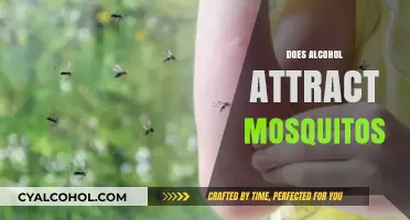 Does Drinking Alcohol Make You a Mosquito Magnet? Find Out