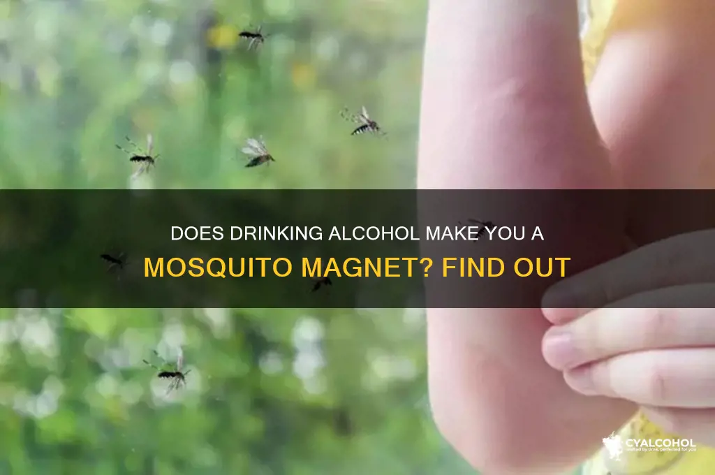 does alcohol attract mosquitos