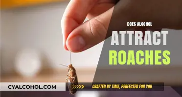 Alcohol and Roaches: Unraveling the Myth of Attraction