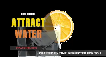 Does Alcohol Attract Water? Exploring the Science Behind Hydration