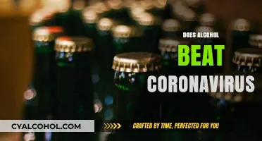 Alcohol vs. Coronavirus: Separating Fact from Fiction in the Pandemic