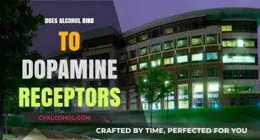 Alcohol and Dopamine: Unraveling the Connection to Brain Receptors