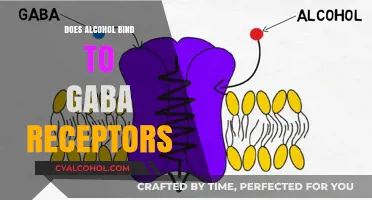 Alcohol and GABA Receptors: Unraveling the Binding Mechanism and Effects