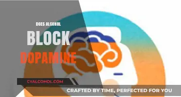 Does Alcohol Block Dopamine? Unraveling the Brain's Reward System