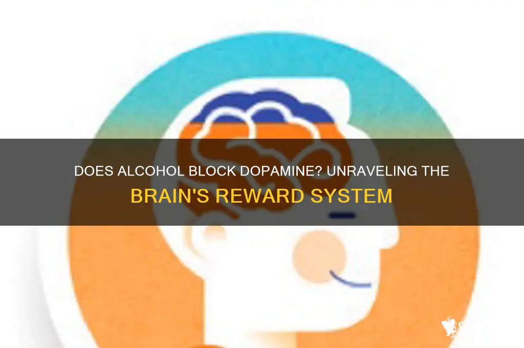 does alcohol block dopamine