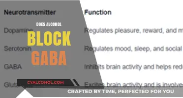 Does Alcohol Block GABA? Unraveling the Science Behind Its Effects