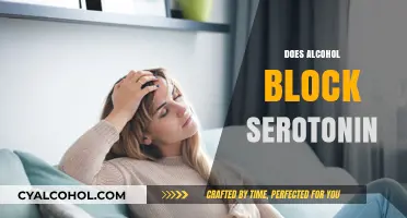 Alcohol and Serotonin: Unraveling the Impact on Mood and Well-being