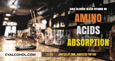 Alcohol's Impact: Blocking Vitamin and Amino Acid Absorption Explained