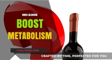 Alcohol and Metabolism: Unraveling the Myth of a Metabolic Boost