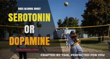 Alcohol's Impact: Serotonin vs. Dopamine – Which Neurotransmitter Does It Boost?
