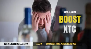 Alcohol and XTC: Understanding the Risky Interaction and Effects