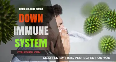 Alcohol's Impact: Does Drinking Weaken Your Immune System?
