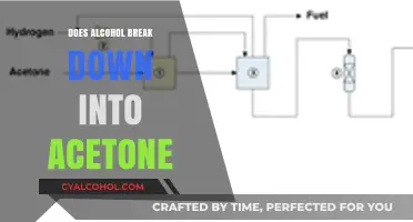 Does Alcohol Metabolize into Acetone? Unraveling the Science Behind It