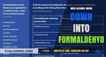 Alcohol Metabolism: Does It Really Break Down into Formaldehyde?