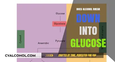 Alcohol Metabolism: Does It Convert to Glucose in Your Body?