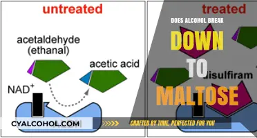 Alcohol Metabolism Explained: Does It Break Down to Maltose?