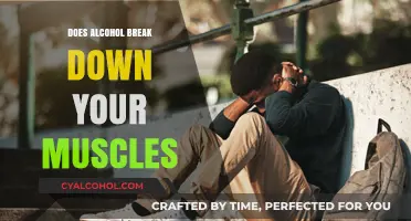 Alcohol and Muscle Breakdown: Debunking Myths and Understanding the Impact