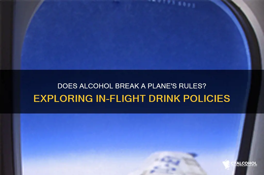 does alcohol break on a plane
