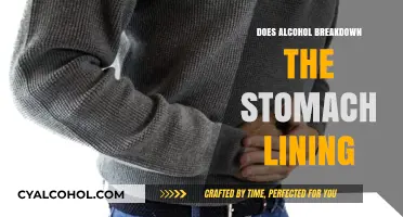 Alcohol's Impact: Does It Erode Your Stomach Lining?