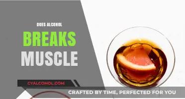 Alcohol and Muscle Breakdown: Debunking Myths and Understanding the Impact