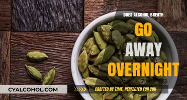 Does Alcohol Breath Disappear Overnight? Facts and Remedies Revealed