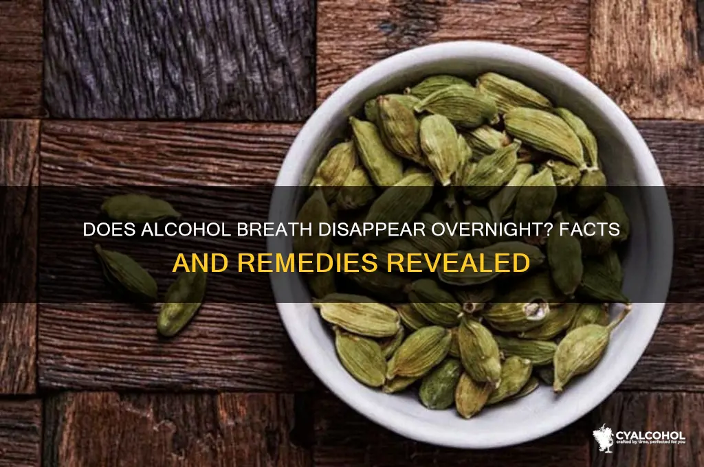 does alcohol breath go away overnight