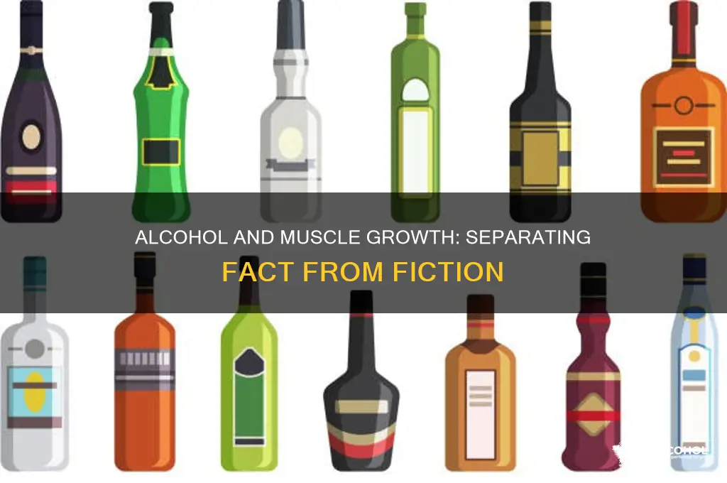 does alcohol build muscle