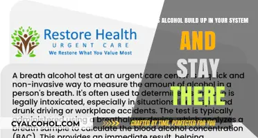 Alcohol in the Body: Does It Accumulate Over Time?